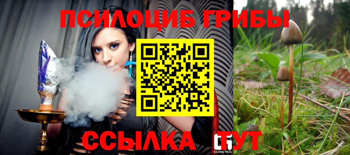 Псилоцибиновые грибы Psilocybe  Вход с VPN  купить наркотик  Рязань 