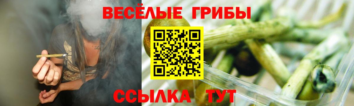 Псилоцибиновые грибы мухоморы Рязань
